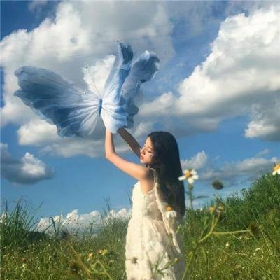 雏鸟的天空