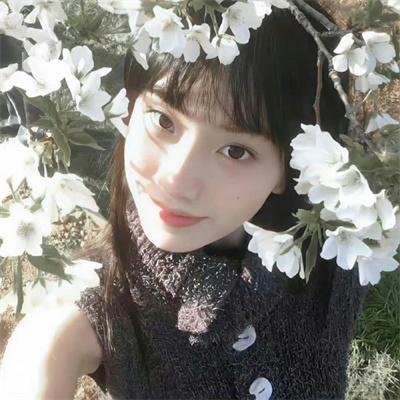 春光花月